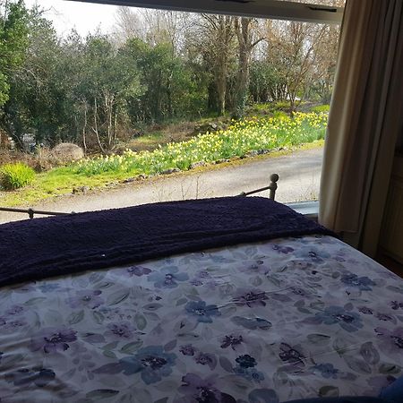 Hollybanks Apartment Moycullen Room photo